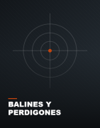 Balines y perdigones
